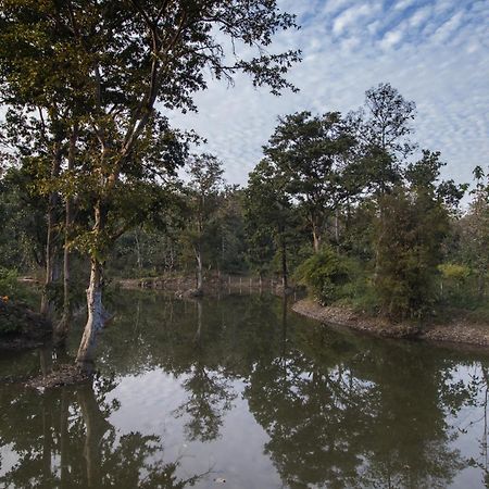 Wowstayz Pachmarhi Ecotel 外观 照片