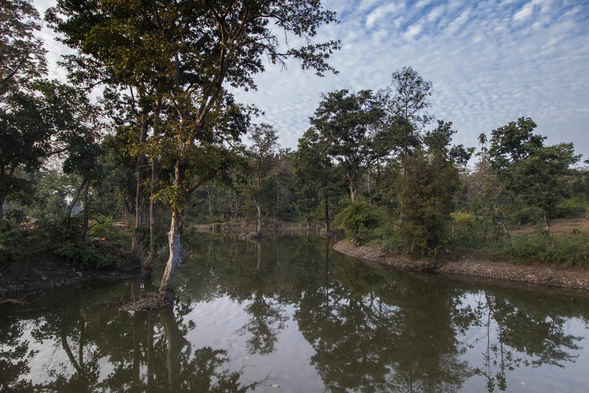 Wowstayz Pachmarhi Ecotel 外观 照片